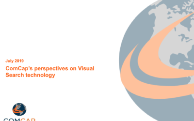 Perspectives on Visual Search – July 2019